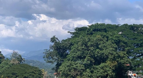 Lodge in 611 image 11