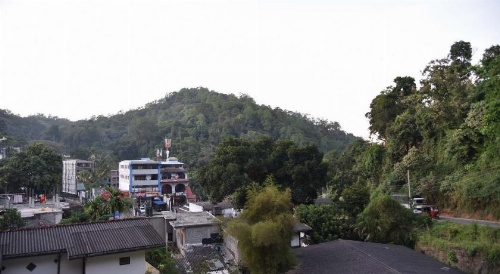 Lodge in 611 image 17