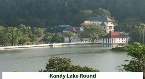 Lodge in 611 image 31