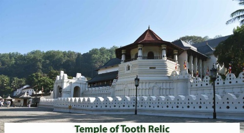 Lodge in 611 image 41